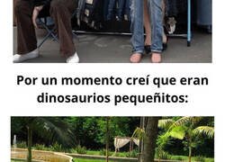 Enlace a Imágenes que tendrás que ver dos veces para entenderlas