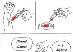 Enlace a Este año tengo un plan