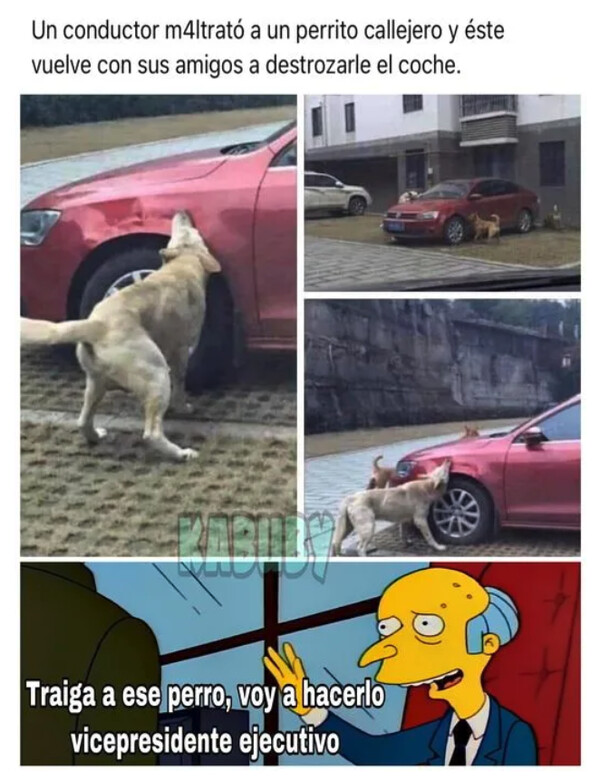Meme_otros - Una bonita historia