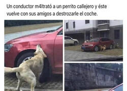 Enlace a Una bonita historia