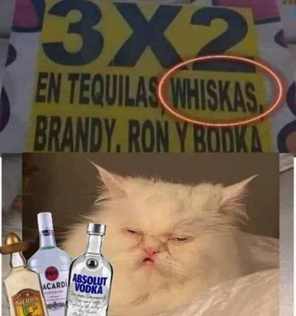 Meme_otros - Ofertón para gatos