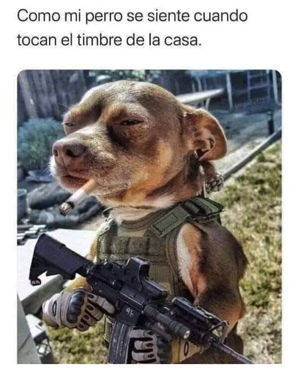 Meme_otros - ¿Quién perras es?