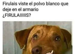 Enlace a Te encuentro raro, Firulais