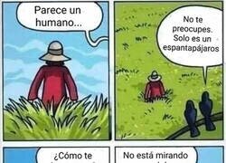 Enlace a Fíjate bien