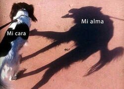 Enlace a Lo que escondo detrás