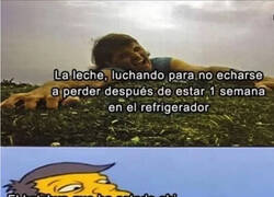 Enlace a El ketchup sí que aguanta