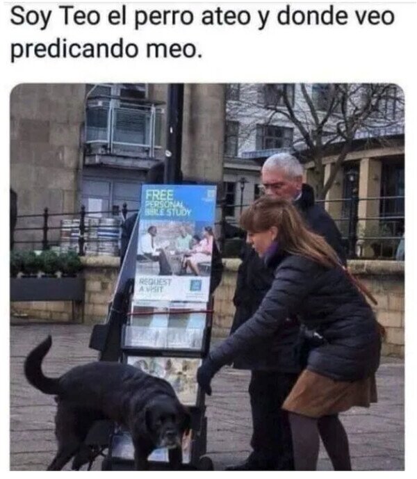 Meme_otros - Teo, el perro ateo