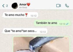 Enlace a Cuando tu 'te amo' es seco y frío