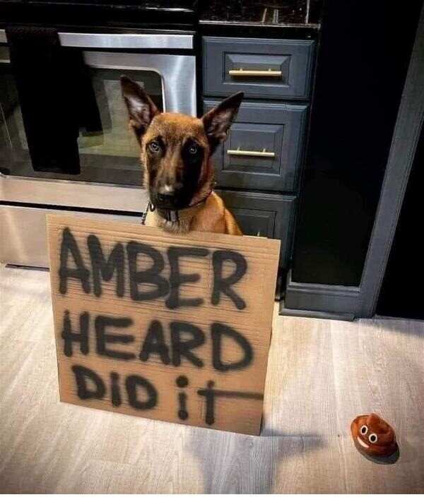 Meme_otros - Yo no fui