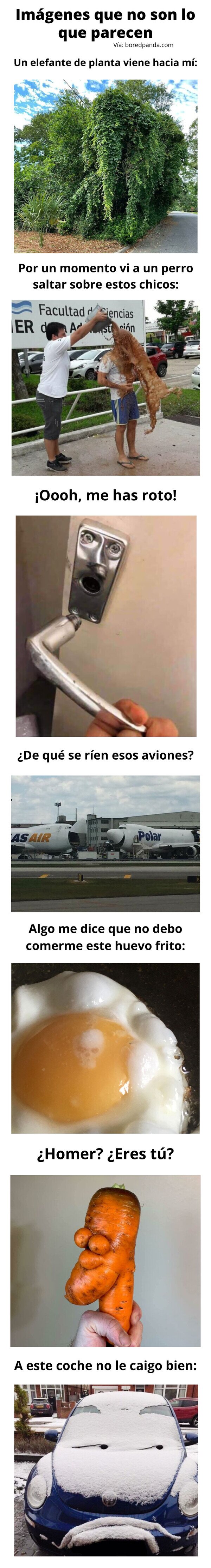 Meme_otros - Imágenes que no son lo que parecen