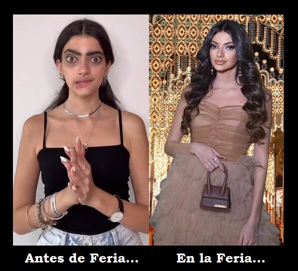 Meme_otros - Algunas es llegar la feria, y se transforman...