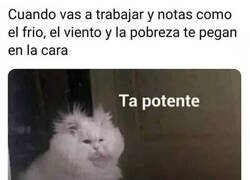 Enlace a No tan de golpe, por favor