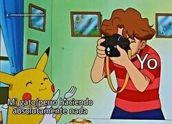 Enlace a Míralo, es monísimo...