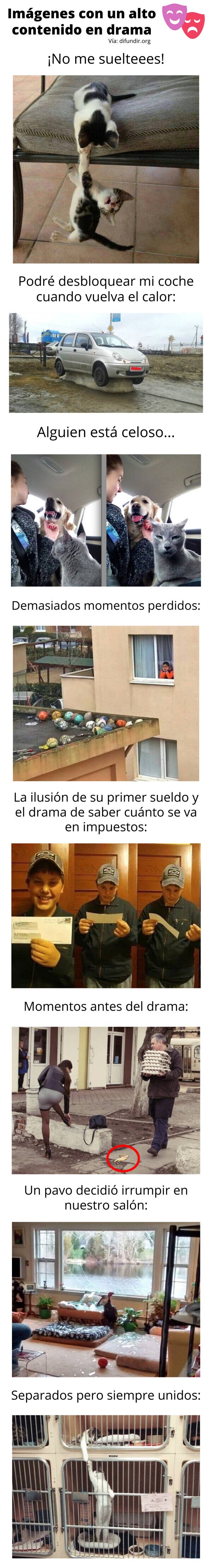 Meme_otros - Imágenes con un alto contenido en drama