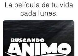 Enlace a Lo busco pero no lo encuentro