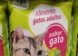 Enlace a Same Energy