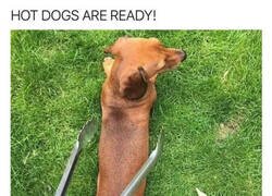 Enlace a Hoy se comen perritos calientes