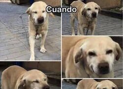 Enlace a Intentando ocultar la risa