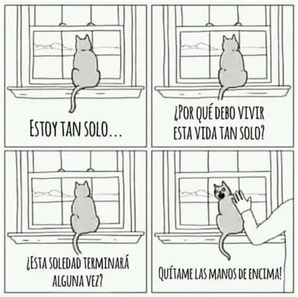 Meme_otros - Ni quieren ni se dejan querer