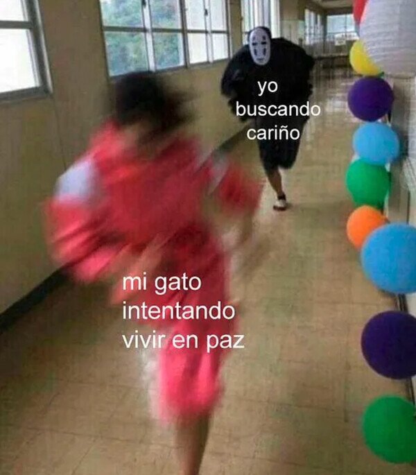 Meme_otros - Mi gato no es quién me va a dar lo que busco