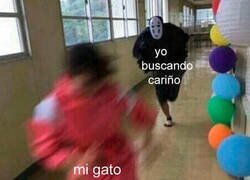 Enlace a Mi gato no es quién me va a dar lo que busco