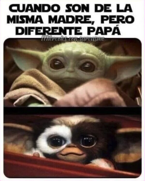 Meme_otros - Hermanos lejanos