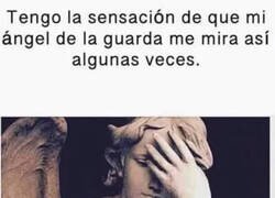 Enlace a Soy una decepción para él