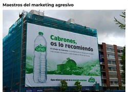 Enlace a ¿Nos están insultando?
