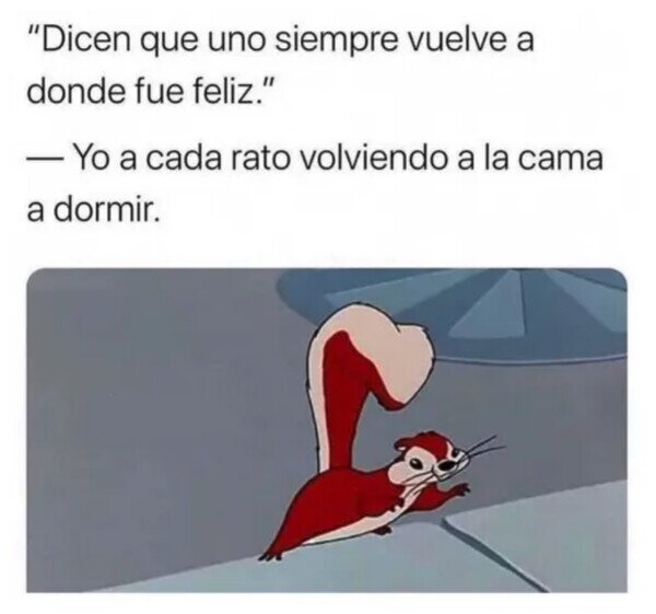 Otros - Dónde reside mi felicidad