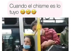 Enlace a Cotilla profesional