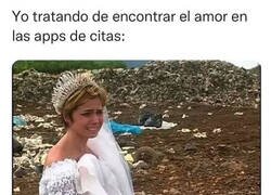 Enlace a Un vertedero