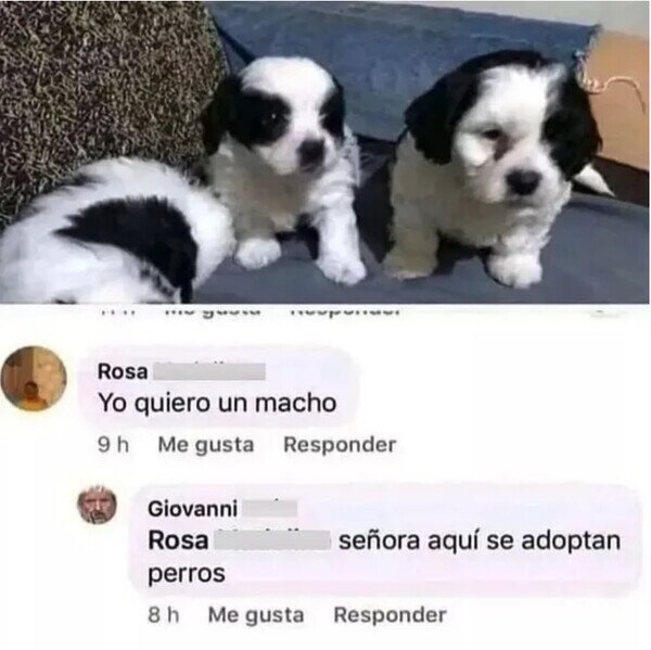 Meme_otros - No es el lugar, señora