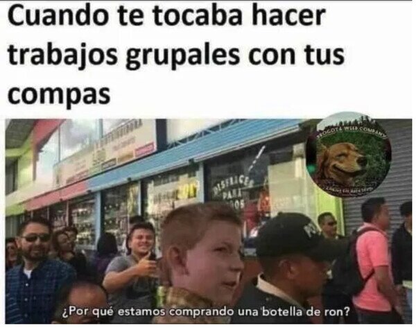 Meme_otros - ¿Aquí se va a estudiar?
