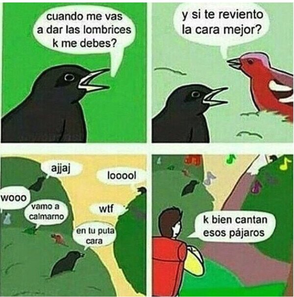 Otros - No sabemos qué se dicen