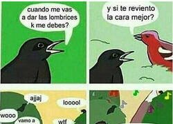 Enlace a No sabemos qué se dicen