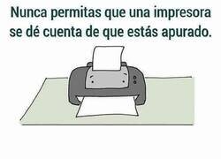 Enlace a Colapsan cuando más las necesitas