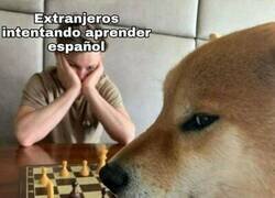 Enlace a Frases muy nuestras