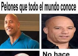 Enlace a Ya sabes quién falta