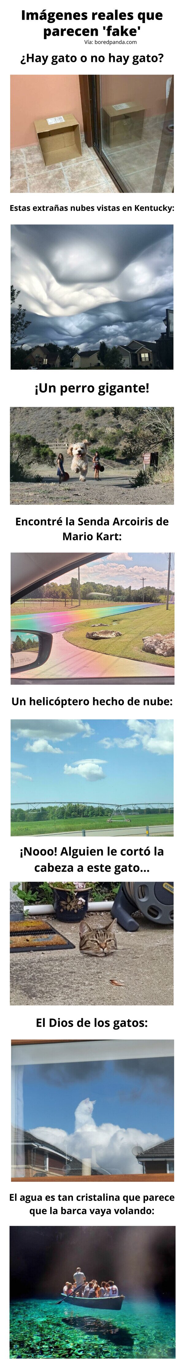 Meme_otros - Imágenes reales que parecen 'fake'