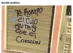Enlace a Preciosas líneas