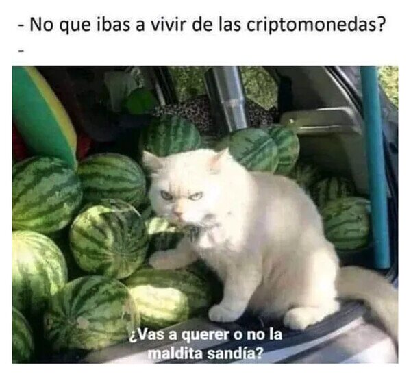 Otros - ¿Dónde está ahora tu criptobro?