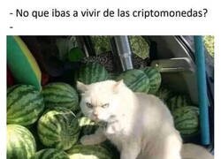 Enlace a ¿Dónde está ahora tu criptobro?