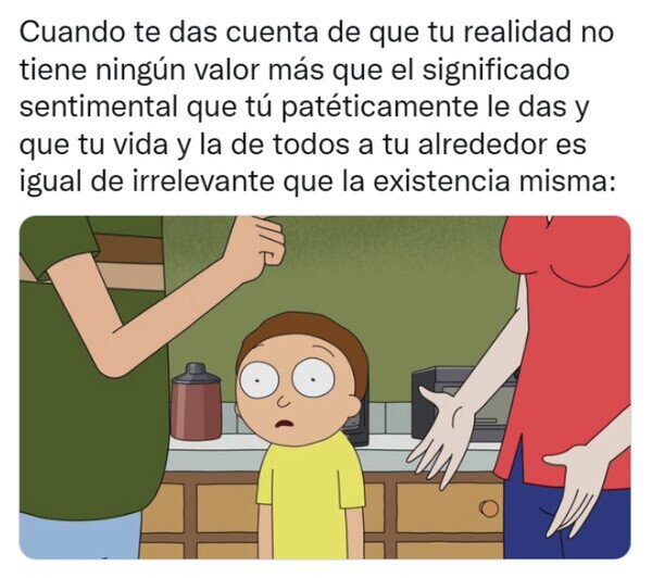 Meme_otros - Tu realidad no es realidad