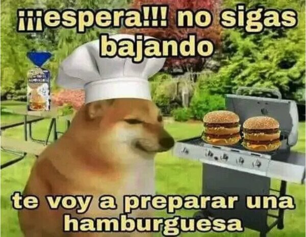 Otros - Te encontraste al perrito hamburguesero