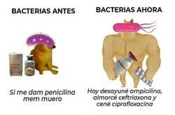 Enlace a Las bacterias vienen fuertes