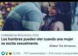 Enlace a Toda la razón