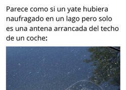 Enlace a Nada es lo que parece