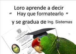 Enlace a Merecedor del título