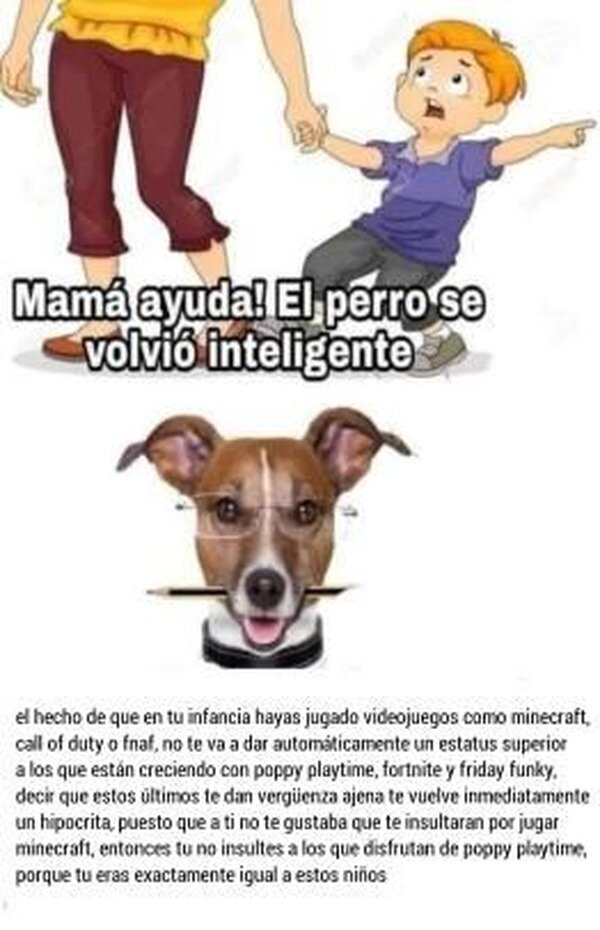 Meme_otros - Gran consejo de tu perro
