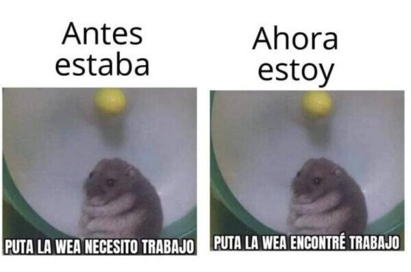 Meme_otros - Nunca estoy contento